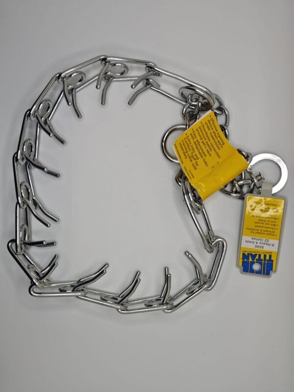 Steel Chrome Plated Training Collar