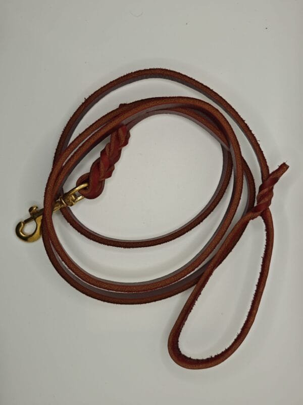 Premium Leather 1/2"x6' Inch Dog Leash