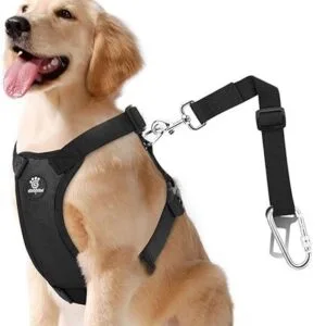 VAVO PAW Dog Vehicle Safety Vest Seatbelt Harness