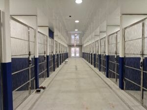 Finishing Touches – Luxury Kennel Build