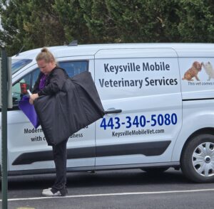 The arrival of Keysville Mobile Veterinary Clinic for Miles!