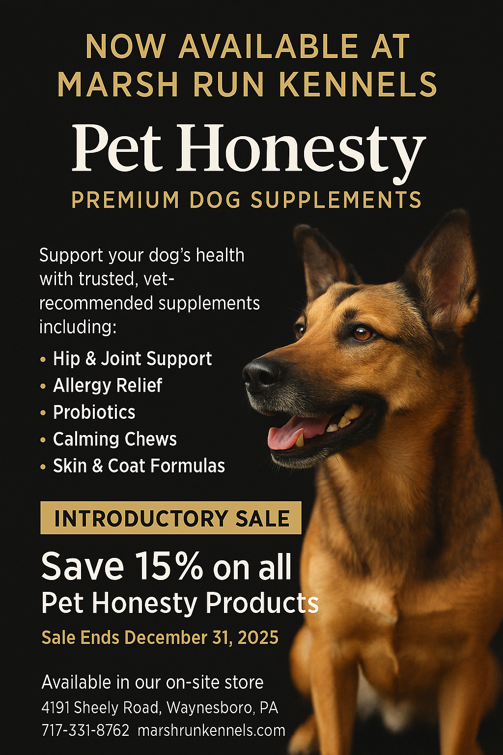 Pet Honesty Supplements 15% Off Sale at Marsh Run Kennels Luxury black and gold promotional flyer featuring Pet Honesty dog supplements on sale at Marsh Run Kennels with a mixed breed dog and 15 percent discount through December 31 2025.