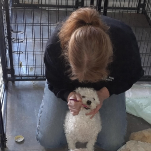 Special needs dog receiving individualized care at Marsh Run Kennels"