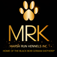 Marsh Run Kennels Inc logo with gold paw print and MRK lettering on black background