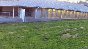 "All-weather indoor and outdoor dog boarding facility"