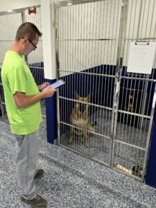 On-site staff member caring for boarded dog overnight"